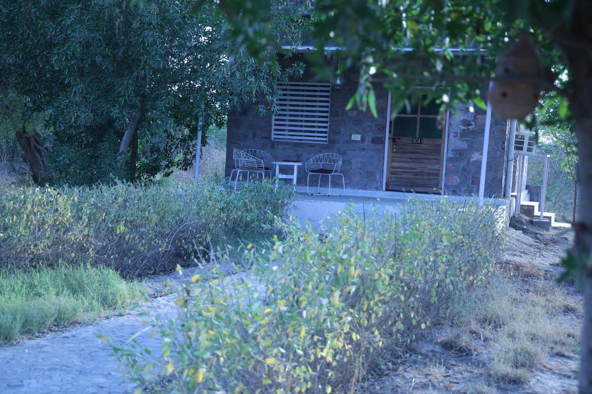 Jawai Bera Leopard Camp Hotel Eksteriør billede